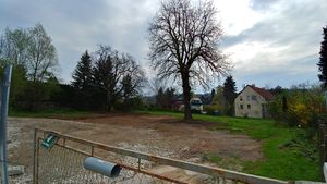 20190413 090226 HDRUntererPlattenweg4.jpg