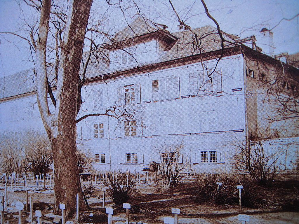 Datei:Joanneum mit Stadtmauer.jpg