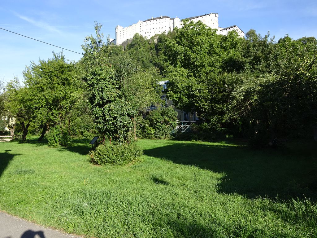 Datei:2015-08-27 07.36.14.jpg