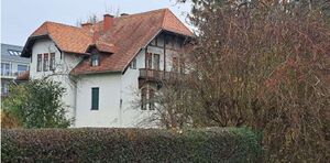 Versteckt hinter Bäumen - 2025